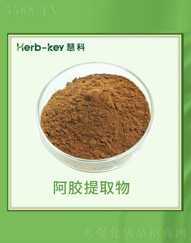 ۿưzȡ